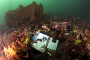 Найденное на дне залива Ямада фото. 5-е июня 2011 г.